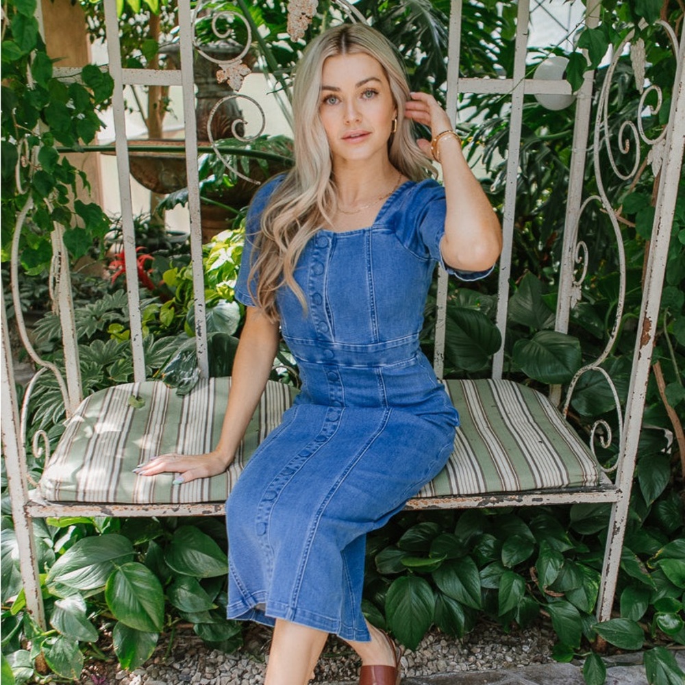 NWT IVY CITY CO LINDSAY DENIM DRESS SIZE M
